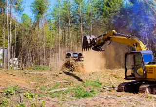 Selective clearing on wooded land preserving mature shade trees near a future custom home site