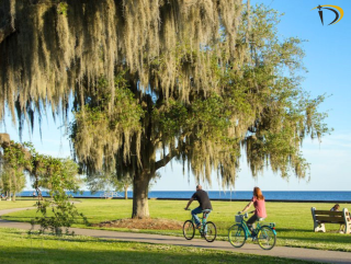 mandeville louisiana