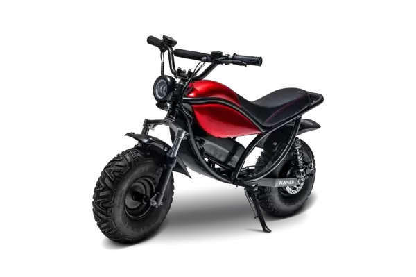 Kandi Trail King e500 Mini Bike
