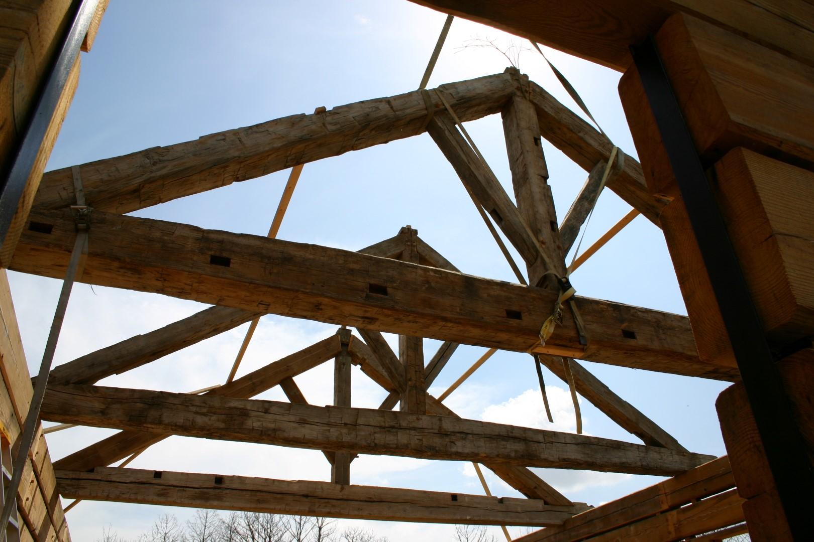 IMG_2550 (Large).JPG