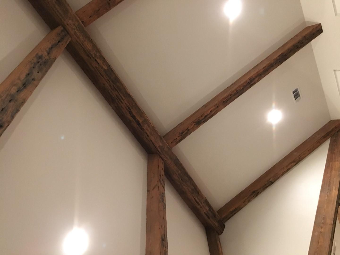 IMG_2647 (Large).JPG