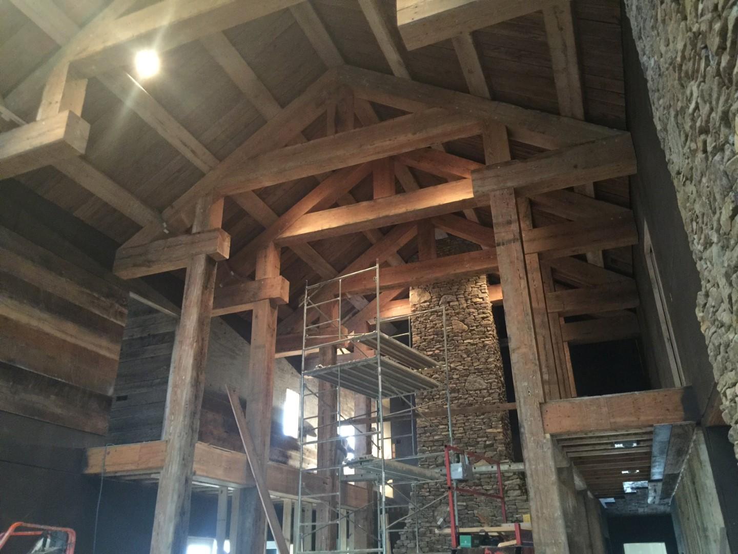 IMG_4949 (Large).JPG