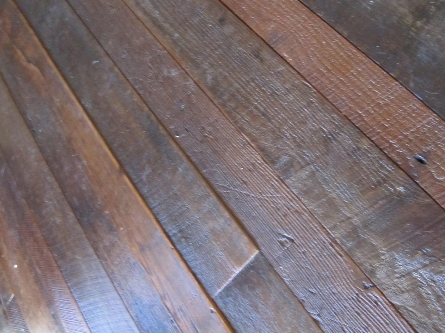 IMG_0155 (Large).JPG