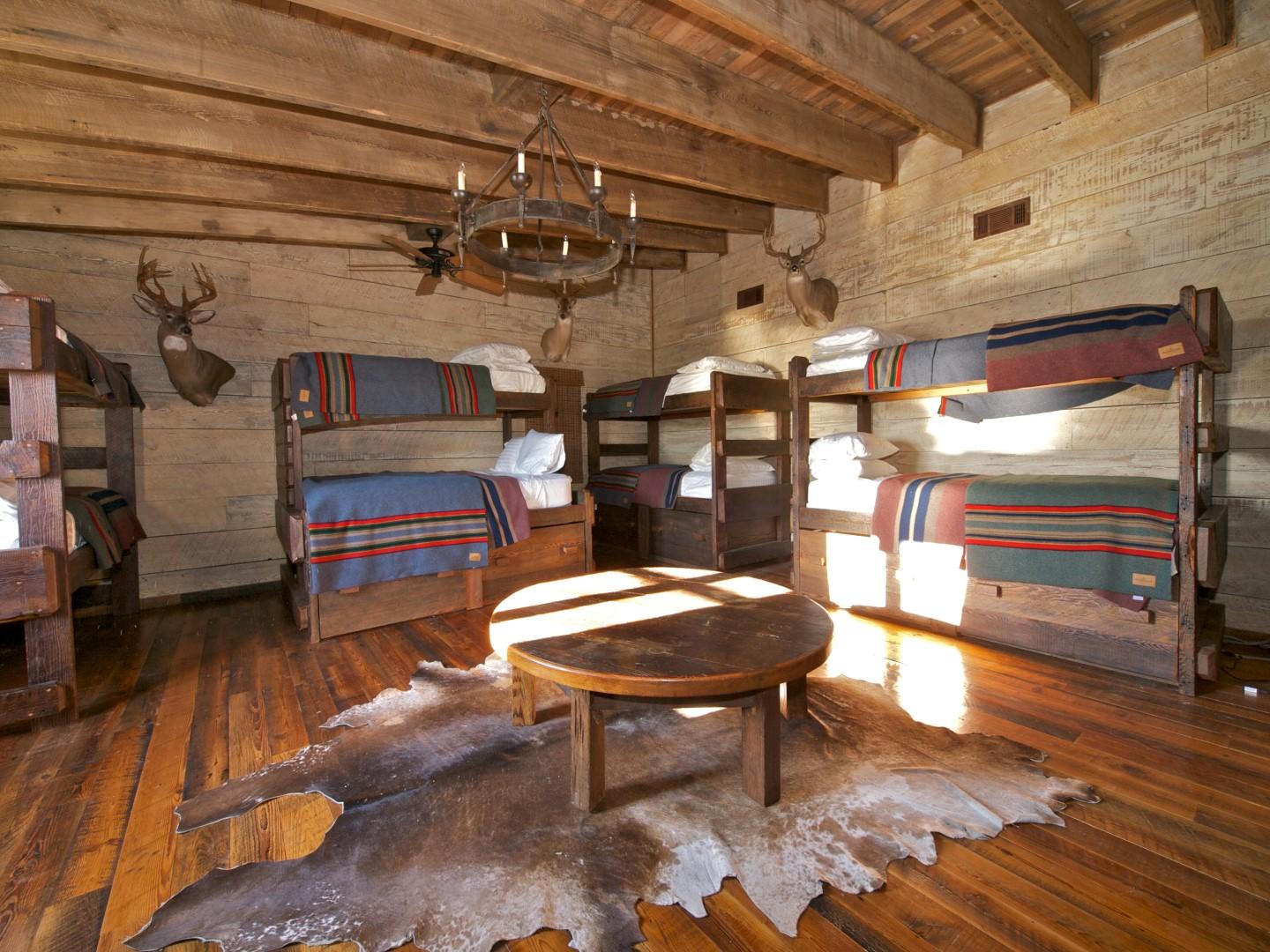 _2135699 (Large) (1)