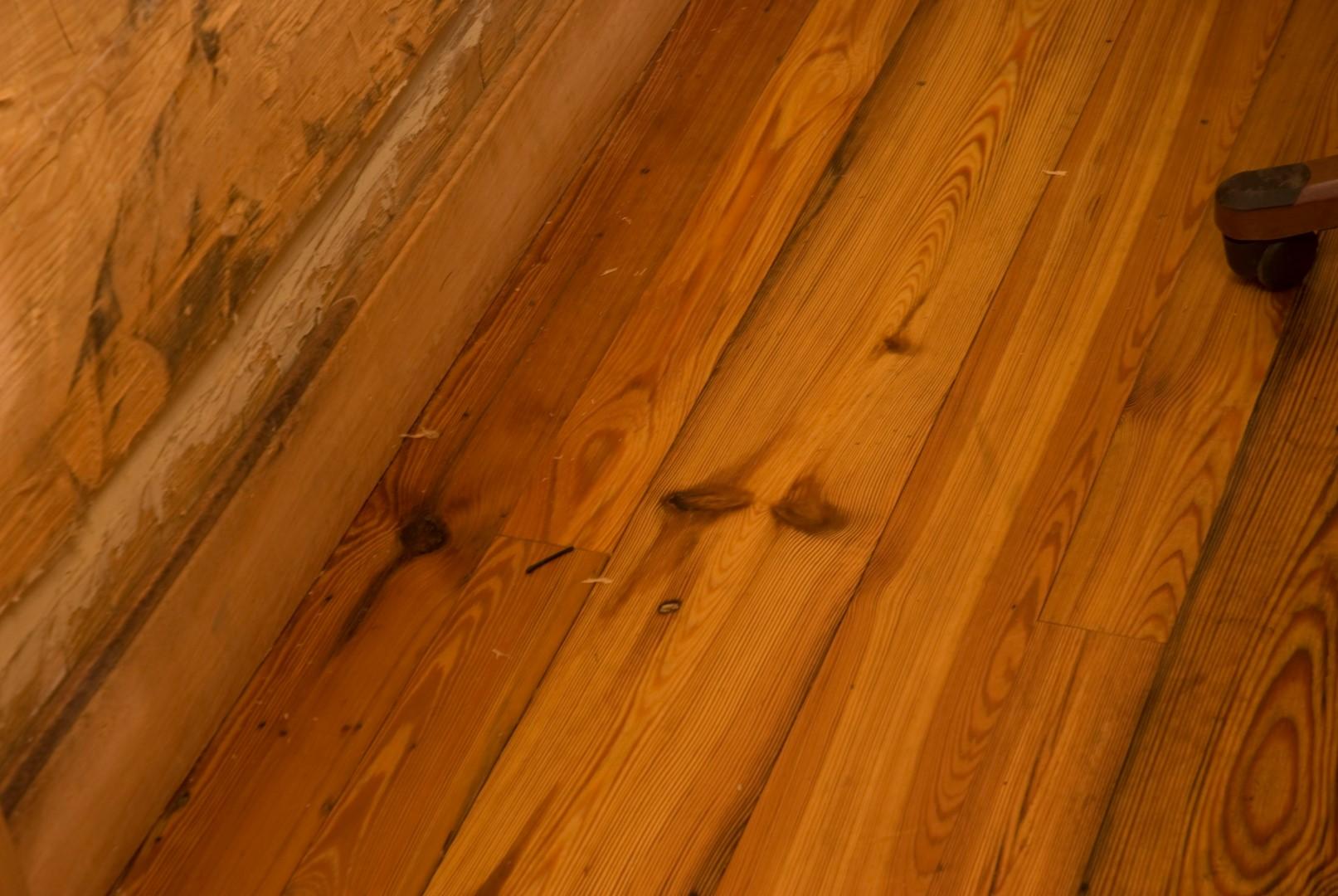 DSC_0837xsml (Large).JPG