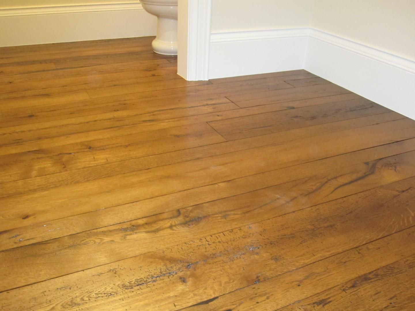 IMG_9783 (Large).JPG