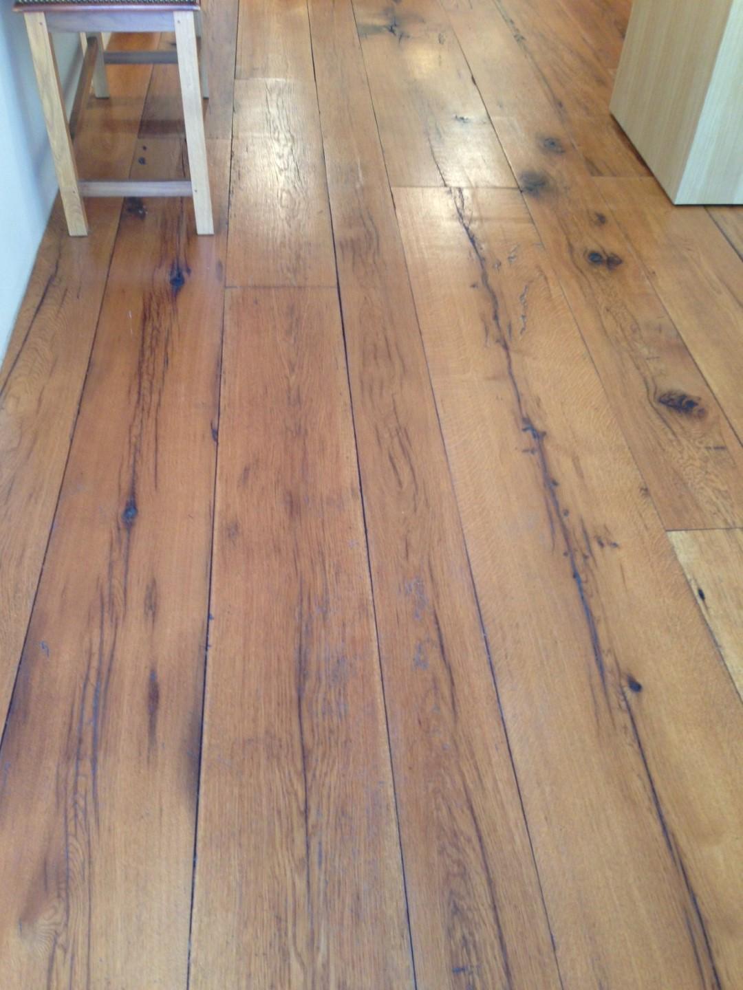 IMG_4841 (Large).JPG