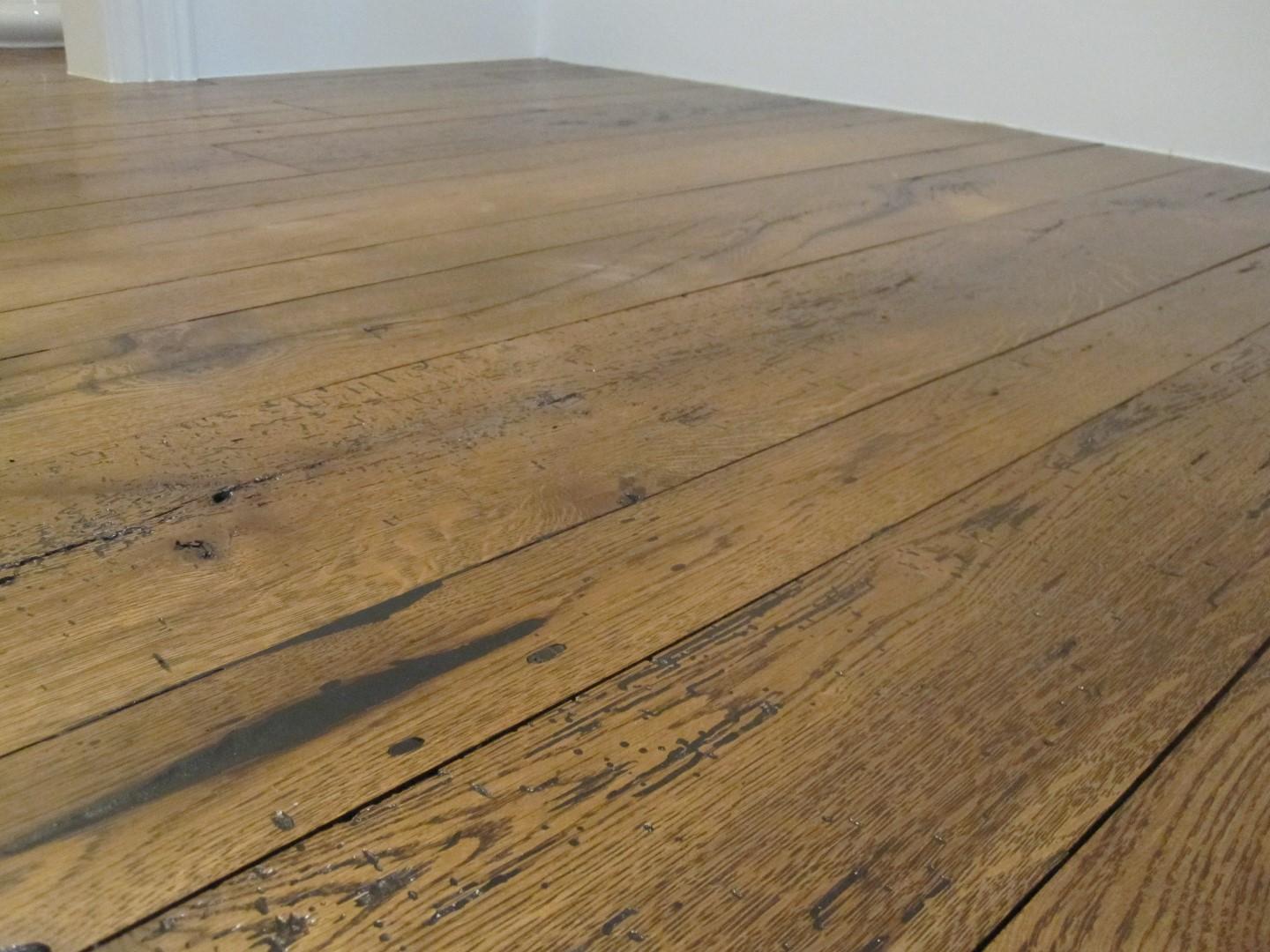 IMG_9786 (Large).JPG