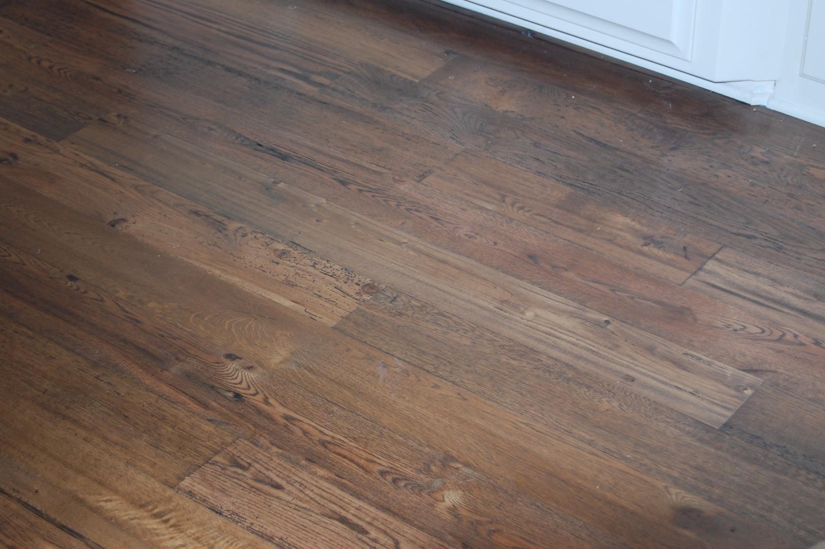 DSC_0009 (Large).JPG