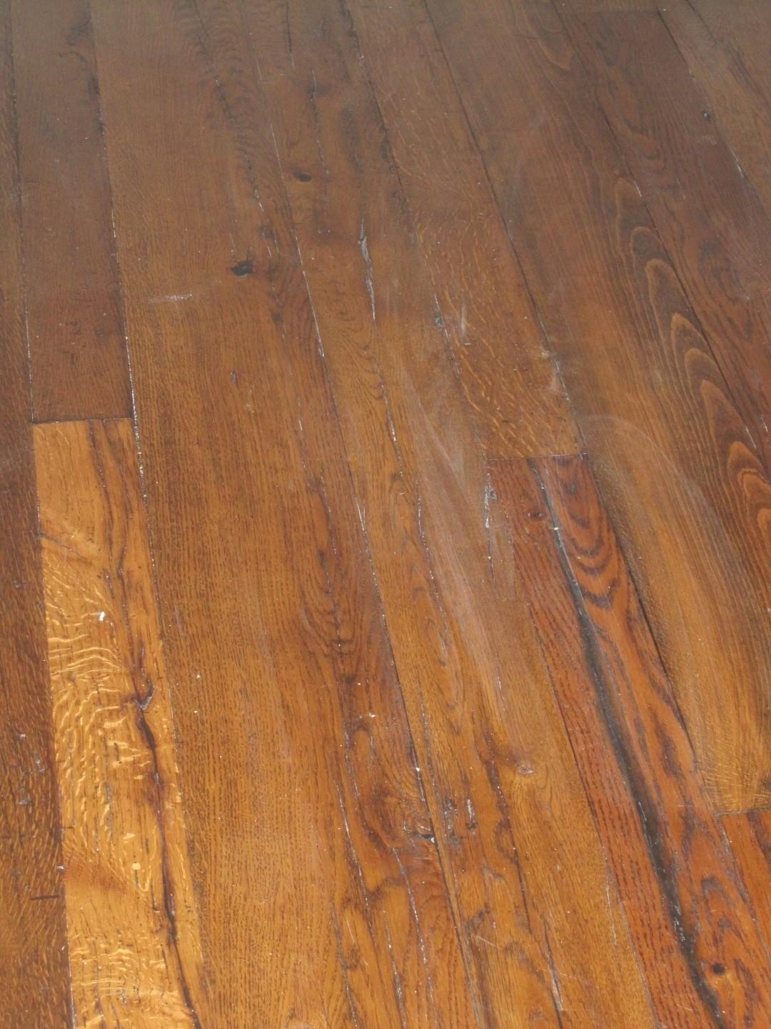 IMG_9798 (Large).JPG