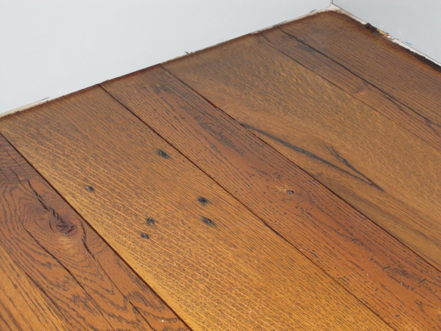 IMG_9801 (Large).JPG