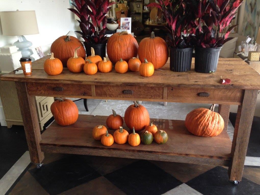 12640439_970293673047889_8813494951400570028_o (1)