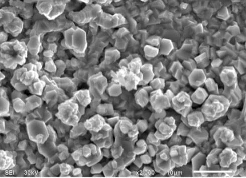 Surface morphology of CAP applied Zinc coating