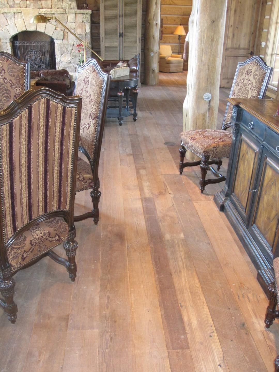 IMG_0921 (Large).JPG