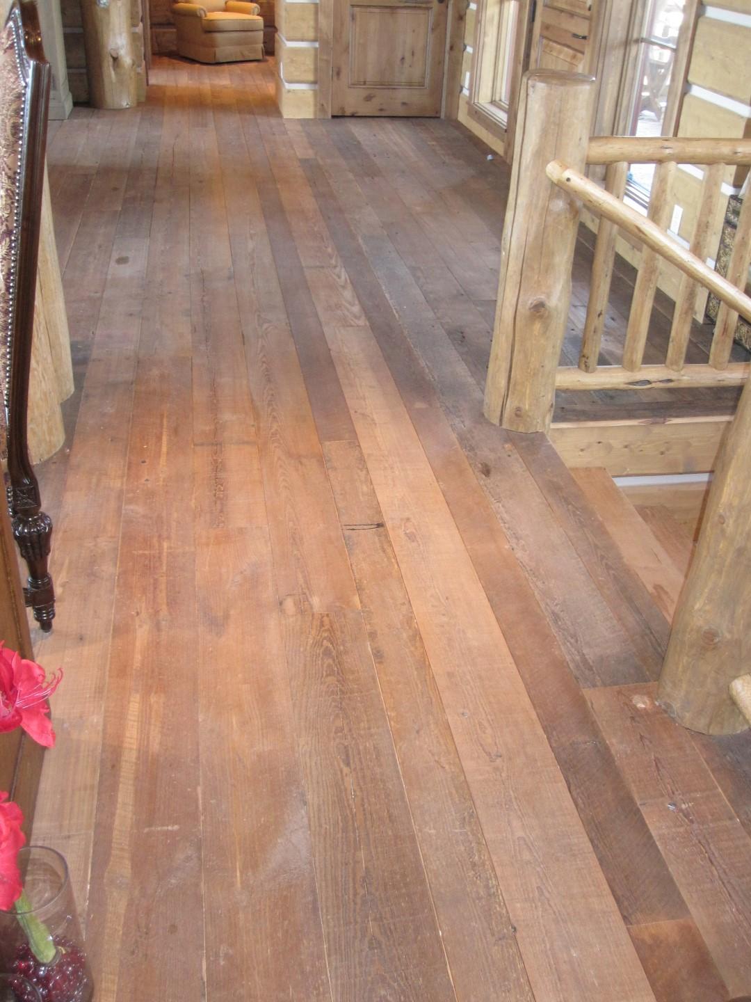 IMG_0923 (Large).JPG