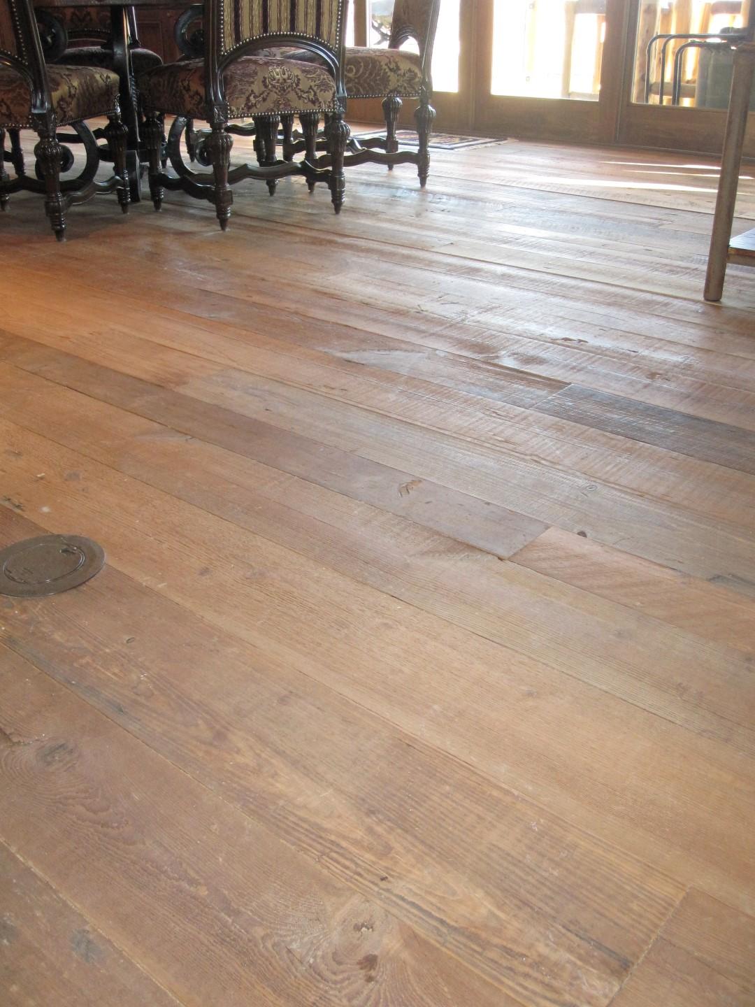 IMG_0925 (Large).JPG