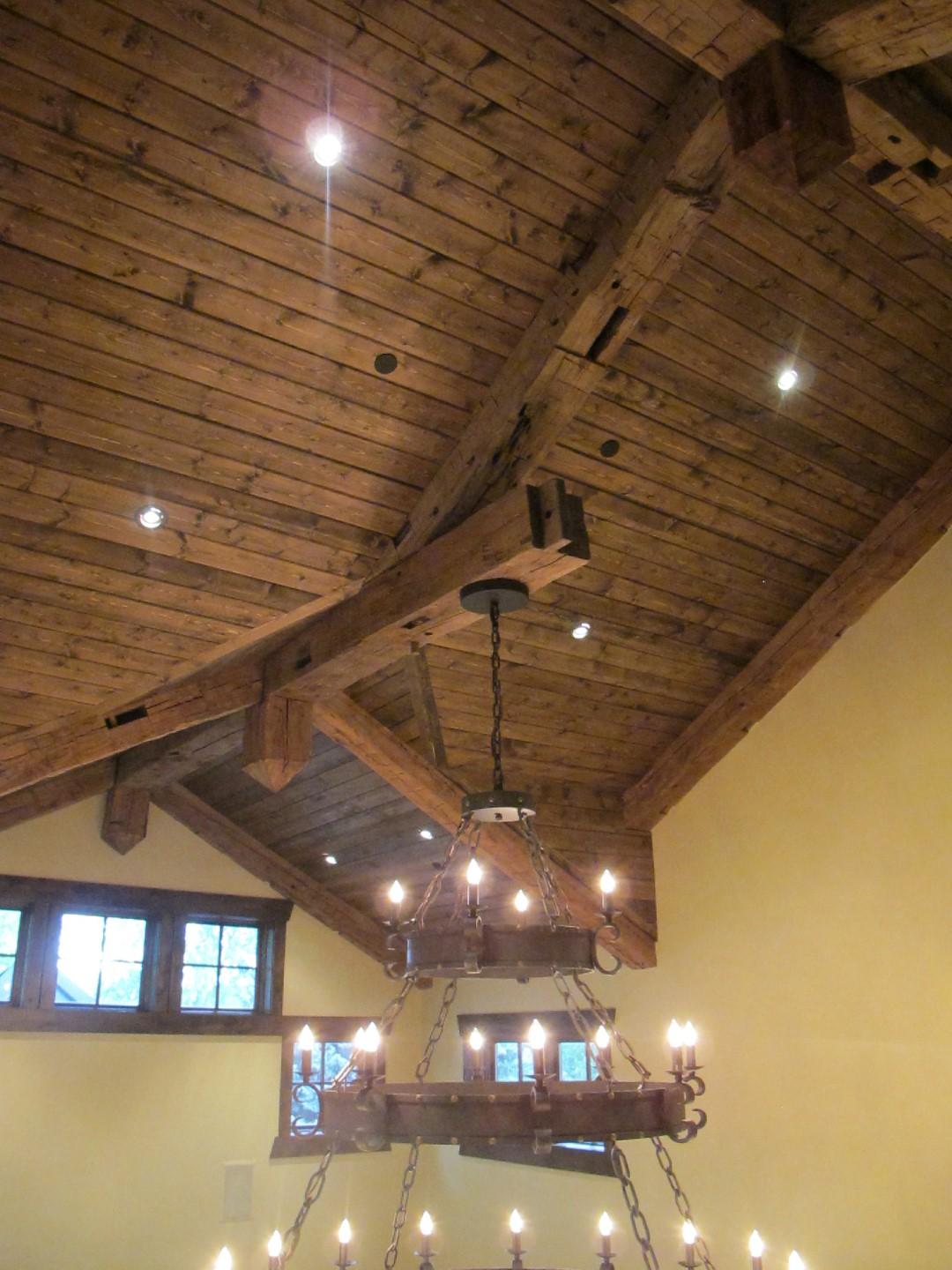 IMG_8123 (Large).JPG