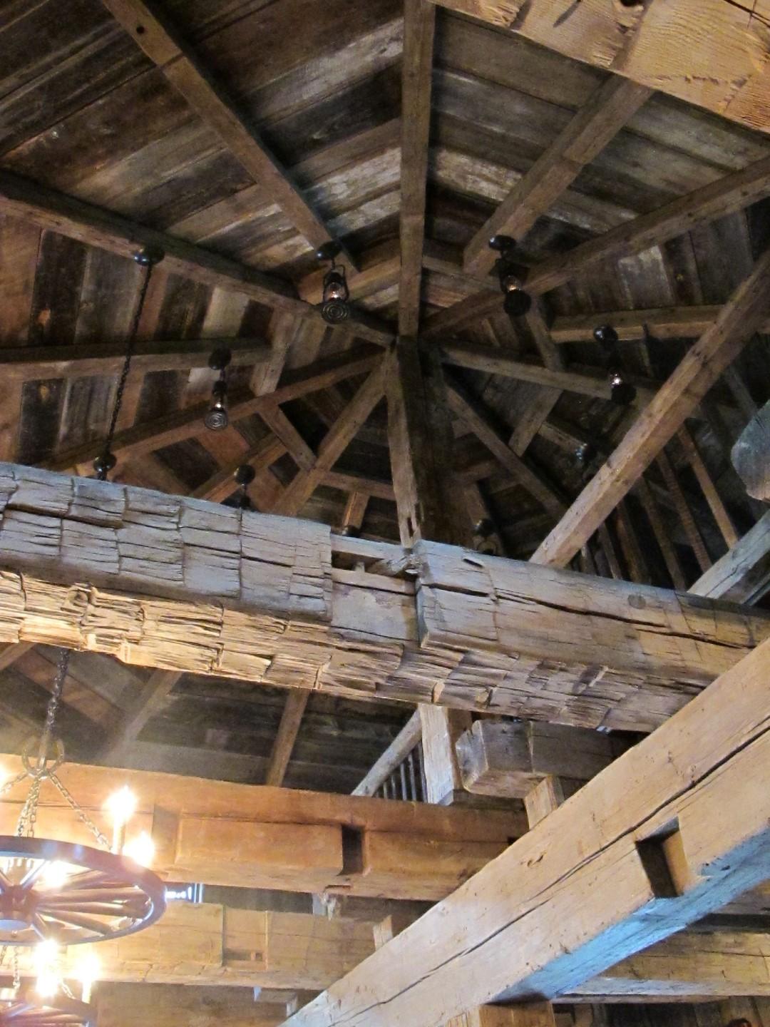 IMG_8184 (Large).JPG