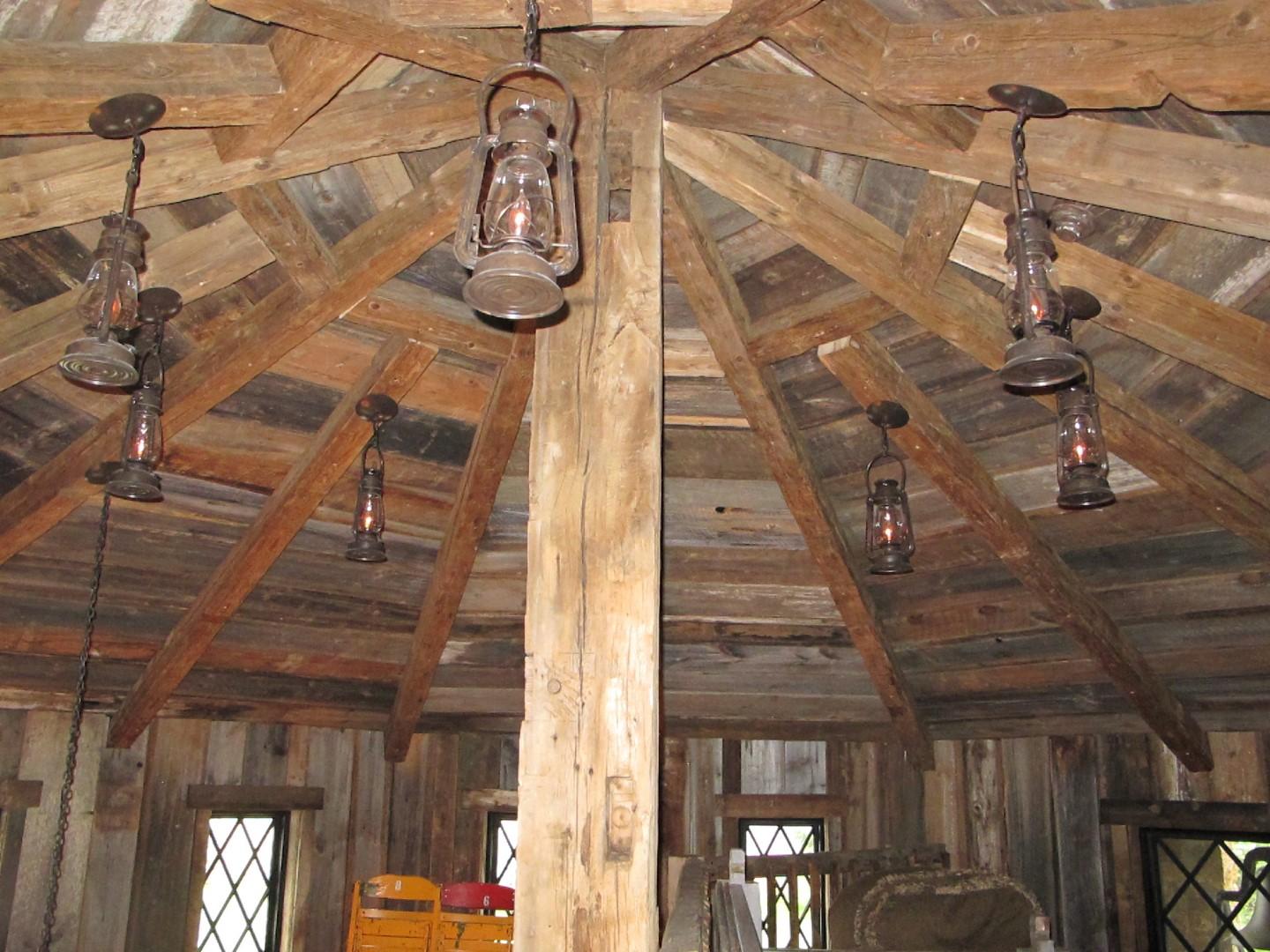 IMG_8233 (Large).JPG