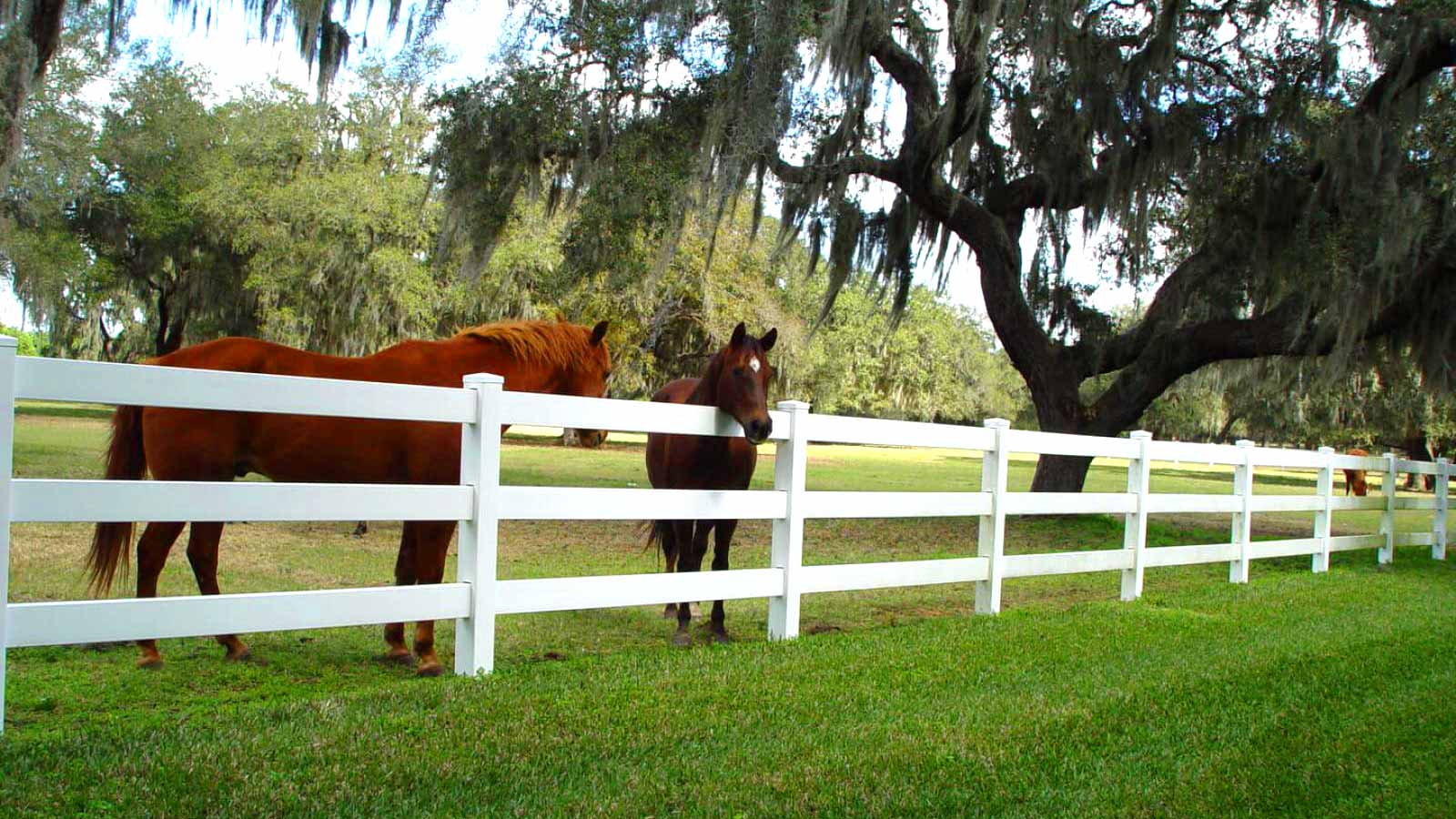 About - Country Estate Fence of The South - Vinyl & Aluminum Fencing