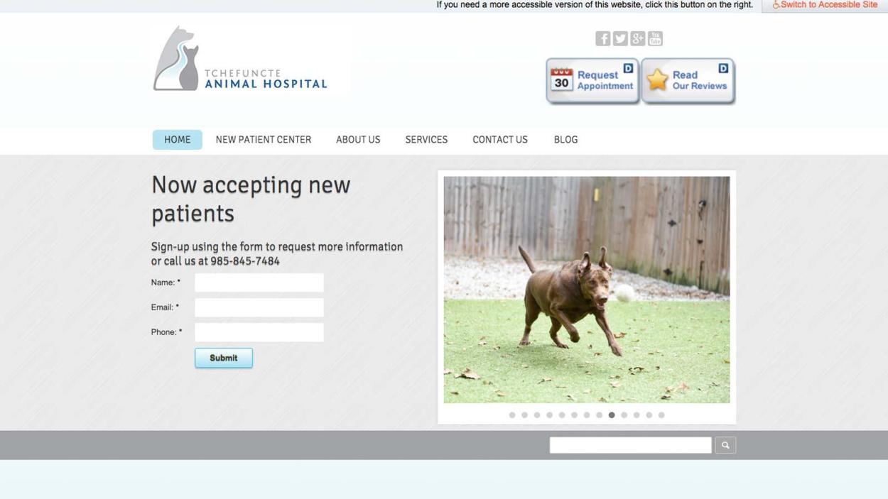 Tchefuncte Animal Hospital - Website - Before