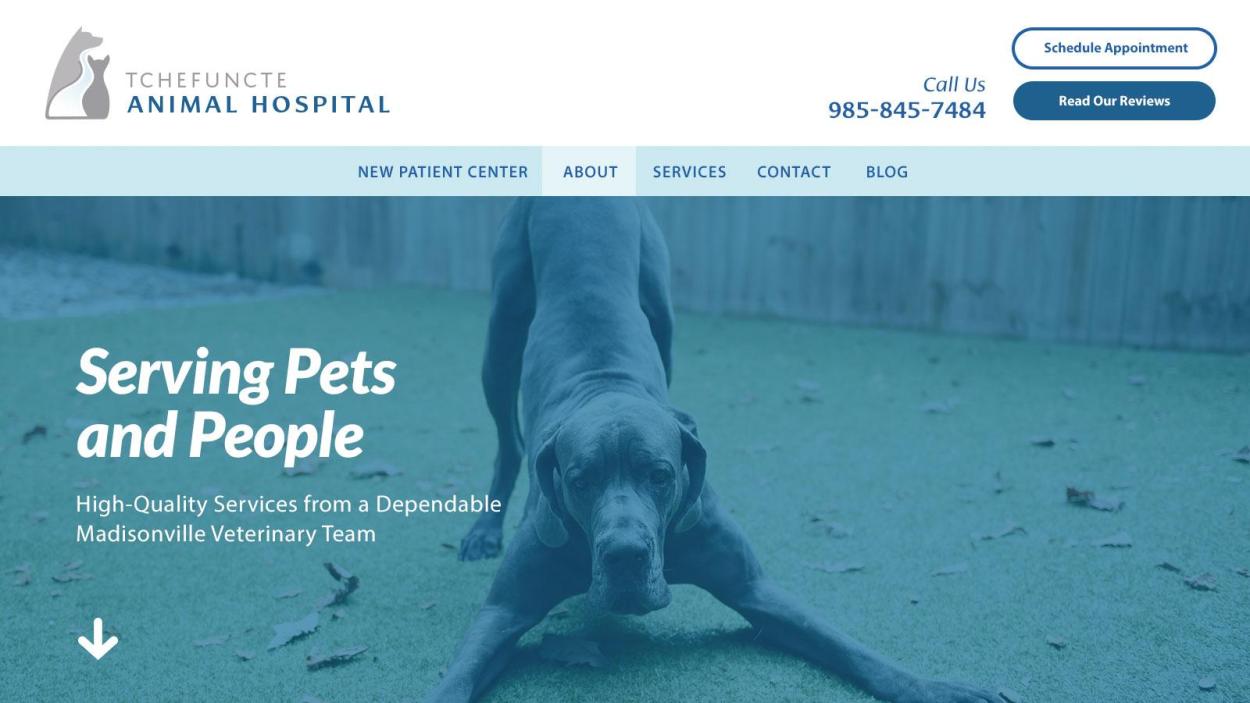 Tchefuncte Animal Hospital - Website - After