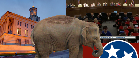 Republican elephant, TN Capitol and Summer Study 