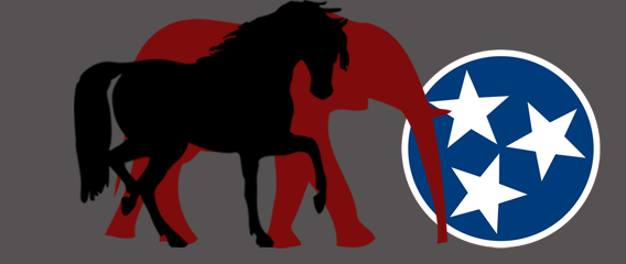 black horse and red elephant with the TN flag stars symbol