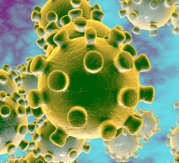 coronavirus