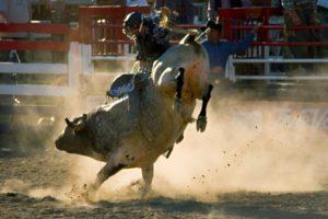 rodeo-300x200