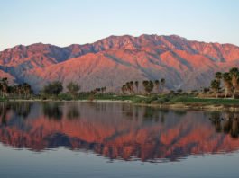 TOTW-Palm-Springs-thumb-265x198
