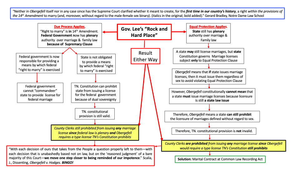 Due-Process-Equal-Protection-Flowchart