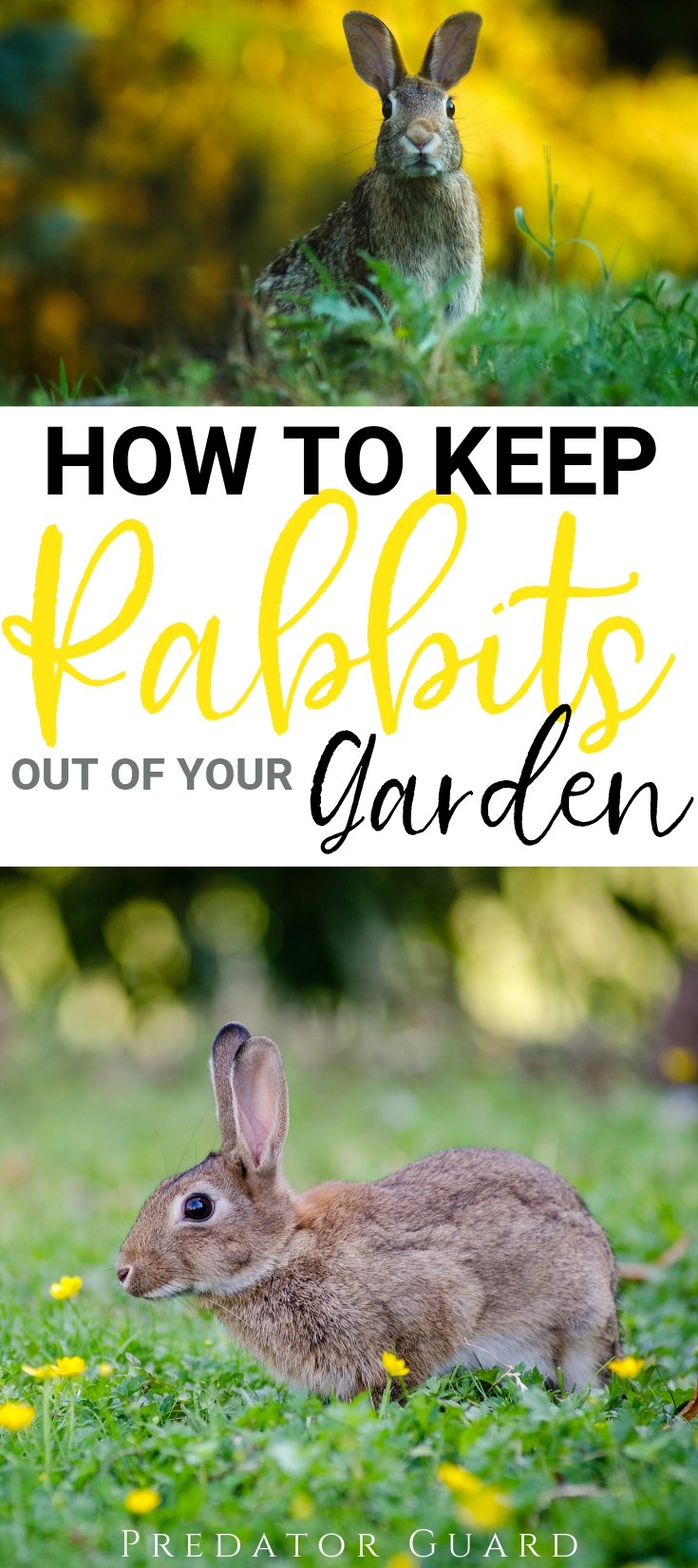 How To Keep Rabbits Out Of The Garden Predator Guard Predator