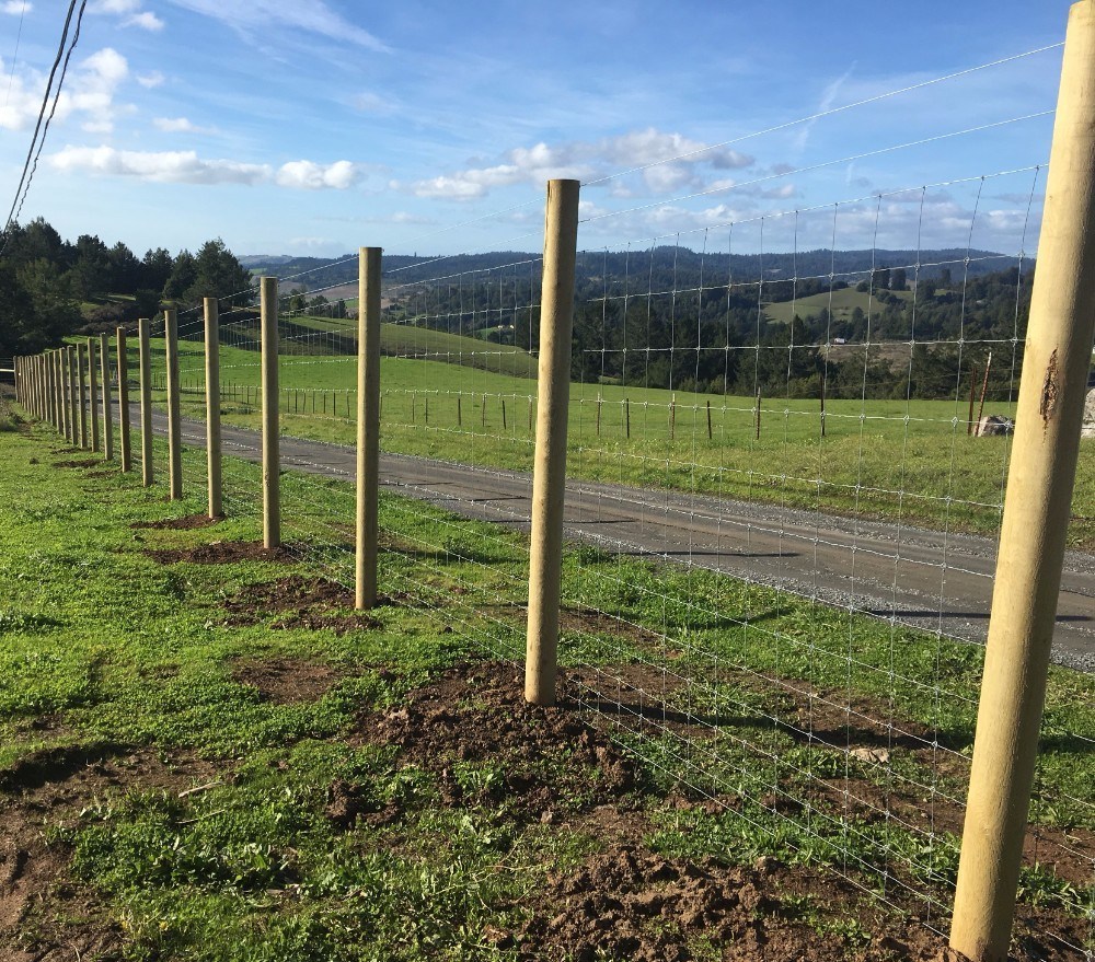 Predator Guard wire mesh fence set up in garden