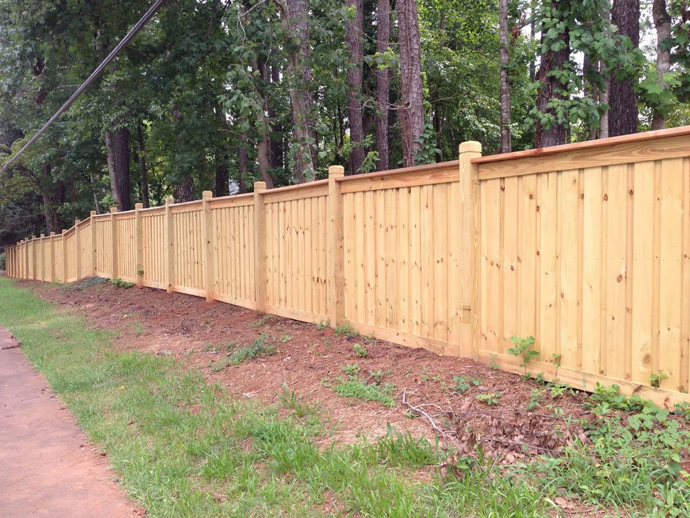 Predator Guard wooden fence in yard