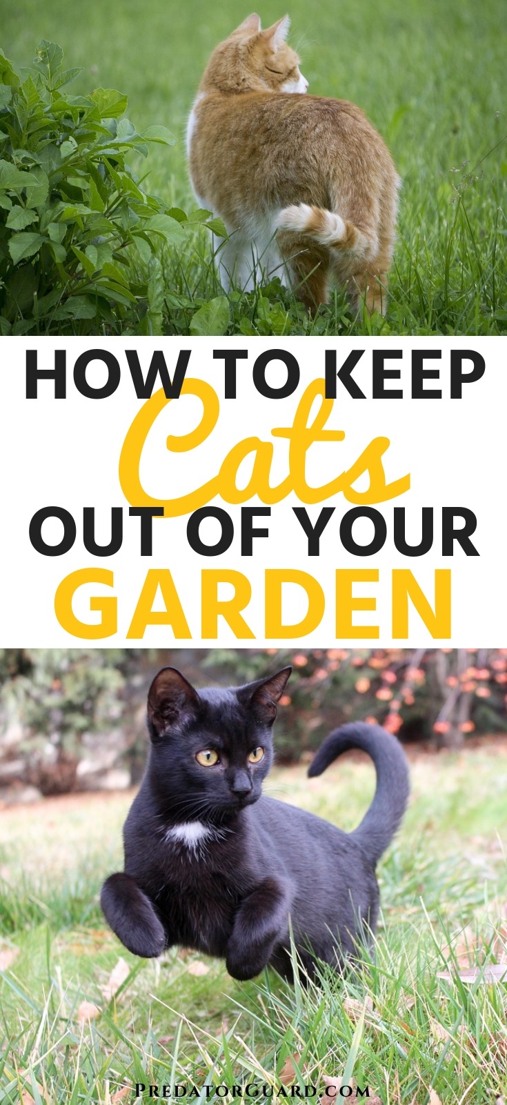 How To Keep Cats Out Of Your Garden Predator Guard Predator Deterrents And Repellents,Bamboo Floors With Grey Walls