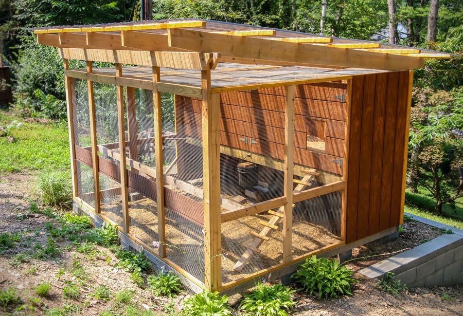 Predator Guard chicken coop in yard