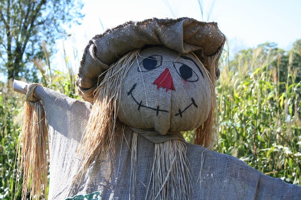 Predator Guard scarecrow head in backyard