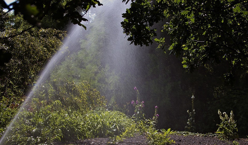 Predator Guard sprinkler spraying water in yard