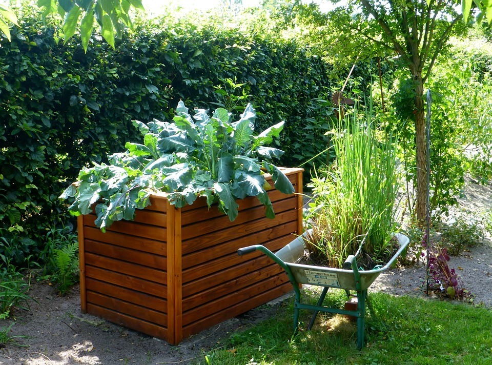  Predator Guard garden bed with plants