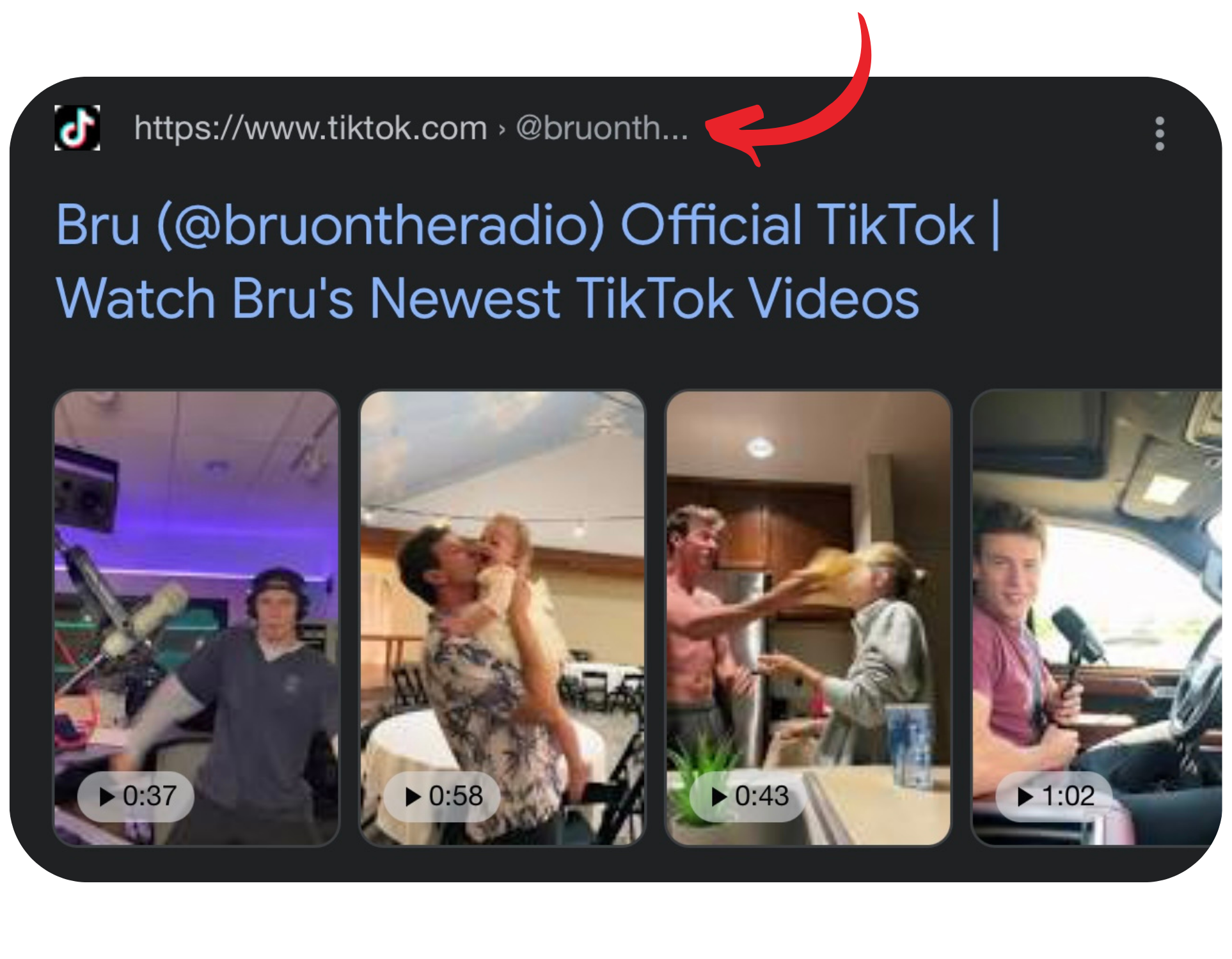 google showing popular users' tiktok profiles on serp with video carousel