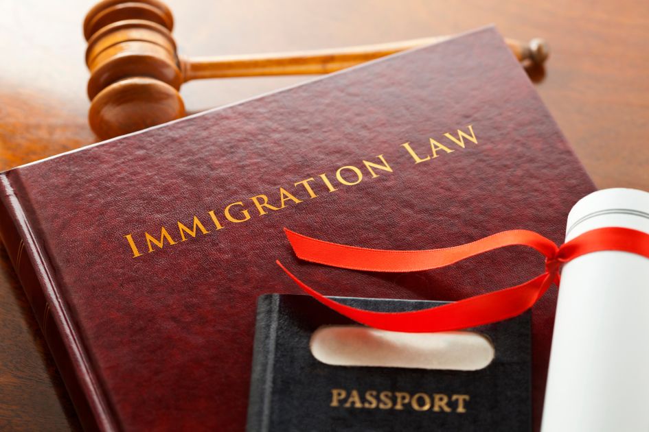 gavel and immigration law book