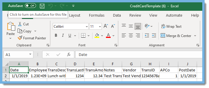 Credit Card Transaction Template