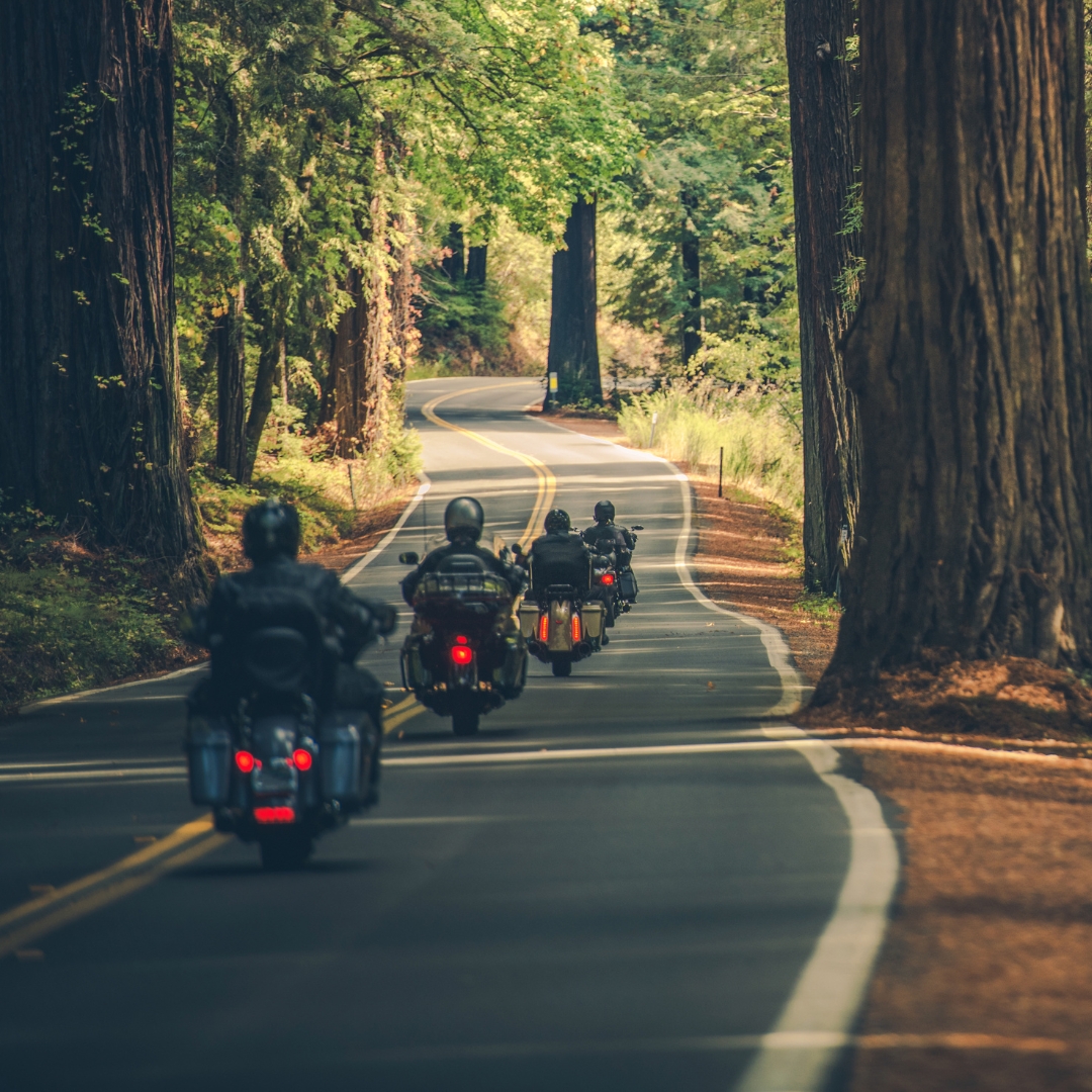 Group of motorcycle riders riding through a forest