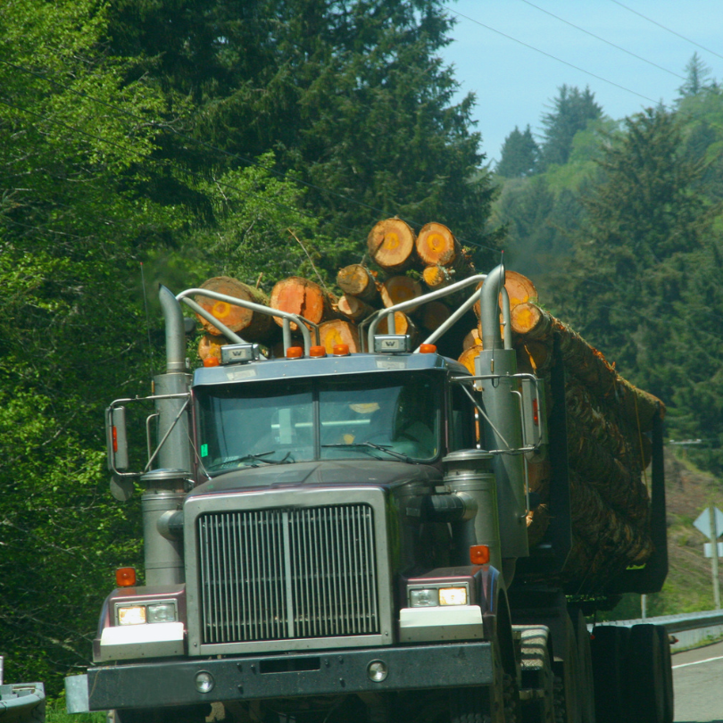 Black logging truck on highway