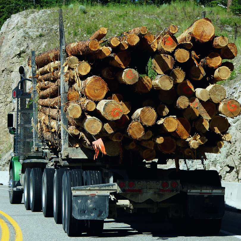 Green logging truck hauling logs
