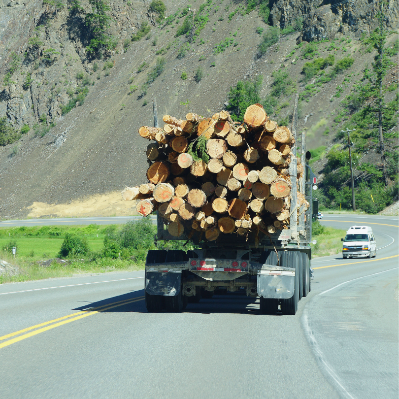Logging truck and white van on a highway