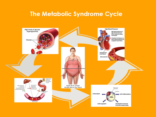 MS Disease State Cycle